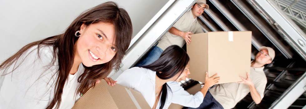 Professional Removalists Griffith East